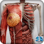 Female 3d anatomy - VR Atlas icon