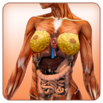 REALISTIC FEMALE ANATOMY 3D MODELS EXPLAINED icon