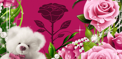 Beautiful Roses Photo Frames PC screenshot