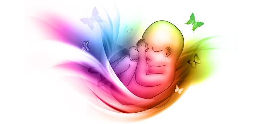 First Time Pregnancy PC screenshot First Time Pregnancy PC screenshot