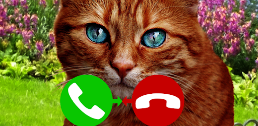 fake call cat game PC screenshot fake call cat game PC screenshot