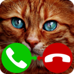 fake call cat game icon