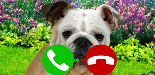 fake call dog game PC screenshot fake call dog game PC screenshot