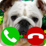 fake call dog game icon