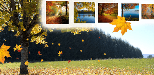 Falling Leaves Live Wallpaper PC screenshot