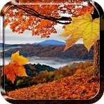 Falling Leaves Live Wallpaper icon