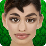 False Mirror HD for PC