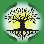 Family Tree Designer icon