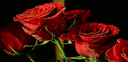 Flowers Images Gif PC screenshot