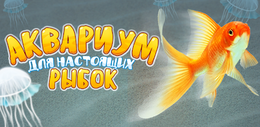 The aquarium for the cat PC screenshot