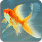 The aquarium for the cat icon