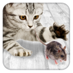 Games for cat Mouse icon
