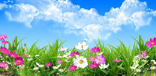 Flower Spring Live Wallpaper PC screenshot