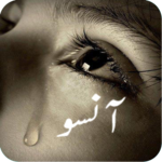 Sad Poetry - Urdu Lines for PC