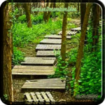 Garden Decoration Idea for PC Garden Decoration Idea for PC