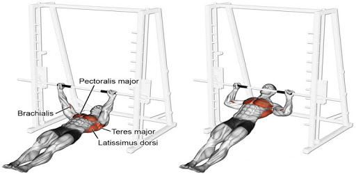 Gym Workout Exercises PC screenshot