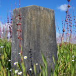 Headstone Maker! for PC Headstone Maker! for PC