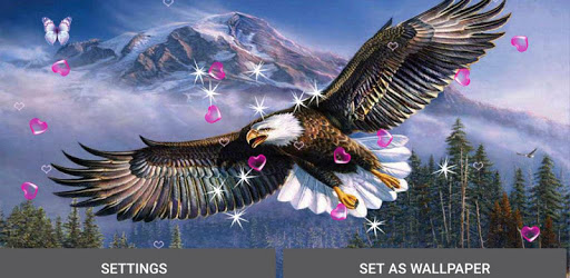 Eagle Live Wallpaper PC screenshot Eagle Live Wallpaper PC screenshot