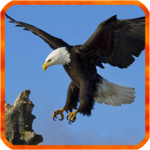 Eagle Live Wallpaper for PC Eagle Live Wallpaper for PC