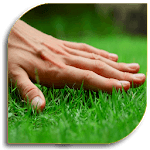 Lawn - Garden Care icon
