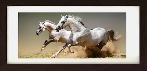 Horses Photo Frames PC screenshot