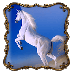 Horses Photo Frames for PC