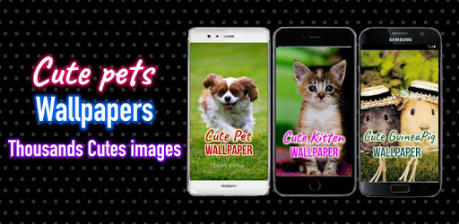 Cute Pets Wallpapers Background PC screenshot Cute Pets Wallpapers Background PC screenshot