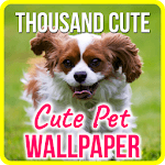 Cute Pets Wallpapers Background for PC Cute Pets Wallpapers Background for PC