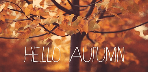 Fall Wallpapers PC screenshot