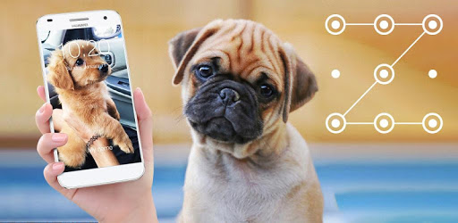 Cute Dogs Labrador HD AppLock Security PC screenshot