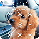 Cute Dogs Labrador HD AppLock Security icon