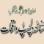 Islami Waqiat offline PDF for PC Islami Waqiat offline PDF for PC