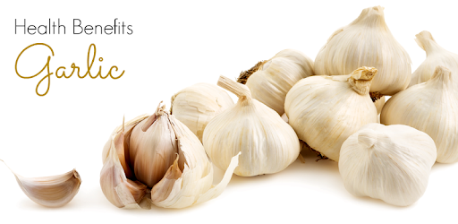 Benefits of Garlic PC screenshot Benefits of Garlic PC screenshot