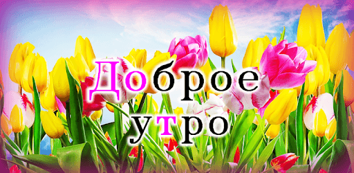 Доброе утро PC screenshot
