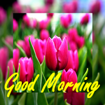 Good Morning New icon