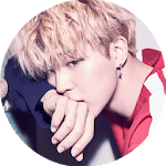 BTS ARMY Music Quiz icon