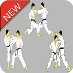 Karate Martial Arts Technique icon