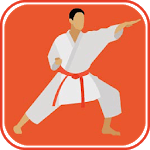 Learn Karate Techniques icon