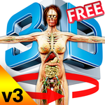 Female Anatomy 3d icon