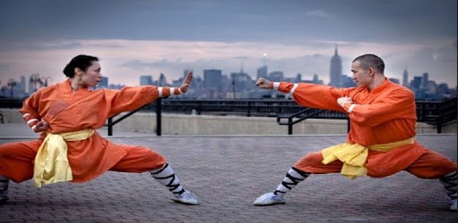 Kung Fu Technique PC screenshot