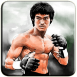 Kung Fu Technique icon