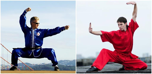 Learn Kung Fu Techniques PC screenshot