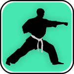 Learn Kung Fu Techniques icon