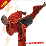 Best Kung Fu Learning Technique icon