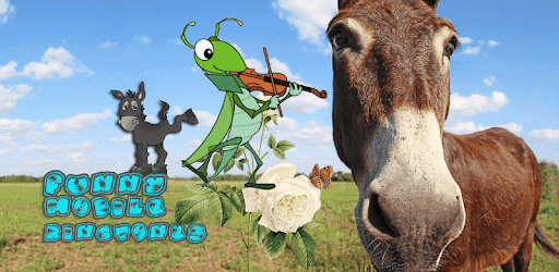 Funny Mobile Ringtones PC screenshot Funny Mobile Ringtones PC screenshot