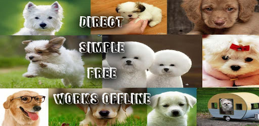 Dog Breed Identifier With Picture PC screenshot