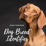 Dog Breed Identifier With Picture icon