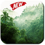 Jungle Wallpaper for PC Jungle Wallpaper for PC
