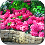 Magic Garden Live Wallpaper for PC