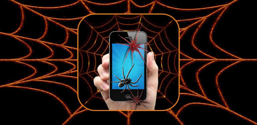 Spider on screen Joke PC screenshot